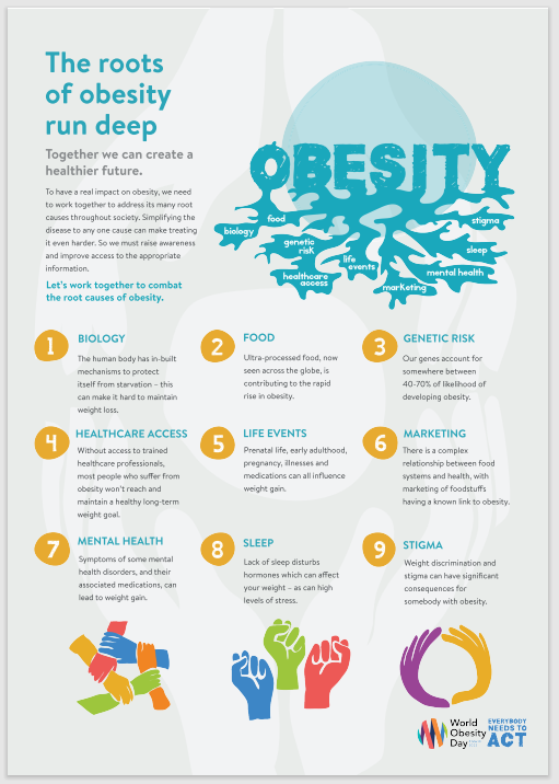 Hojas informativas sobre la obesidad
